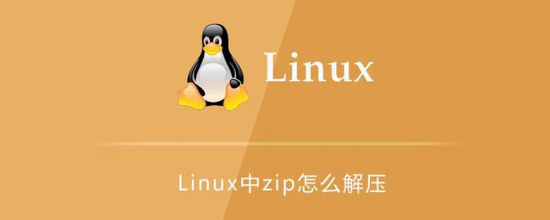 No119：Linux常用解压缩命令